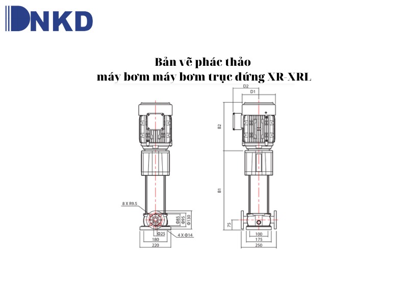 Máy bơm trục đứng XR – XRL: Đa dạng mẫu mã tối ưu nhu cầu sử dụng
