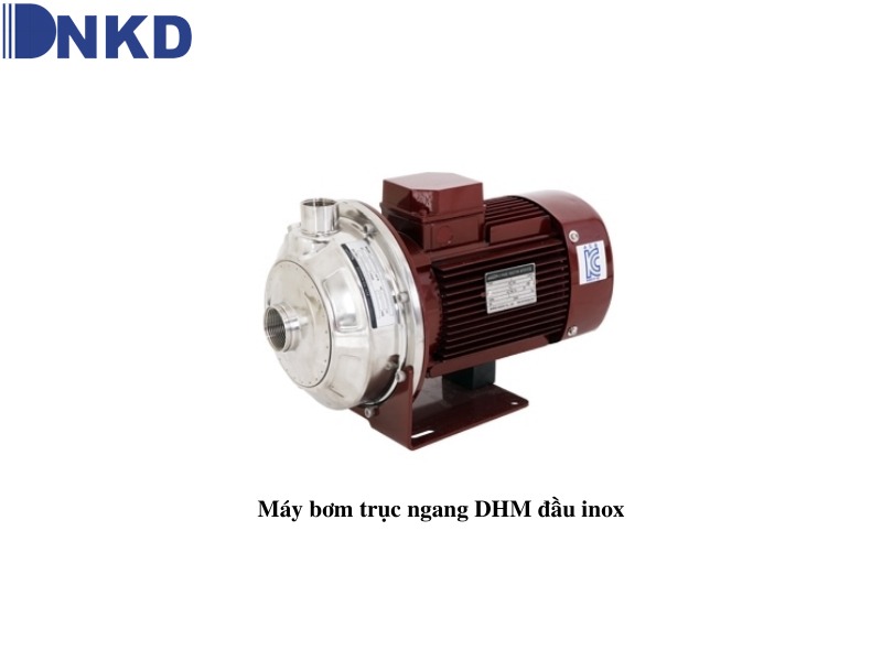 Máy bơm trục ngang DHM: Giải pháp cấp nước sinh hoạt tối ưu