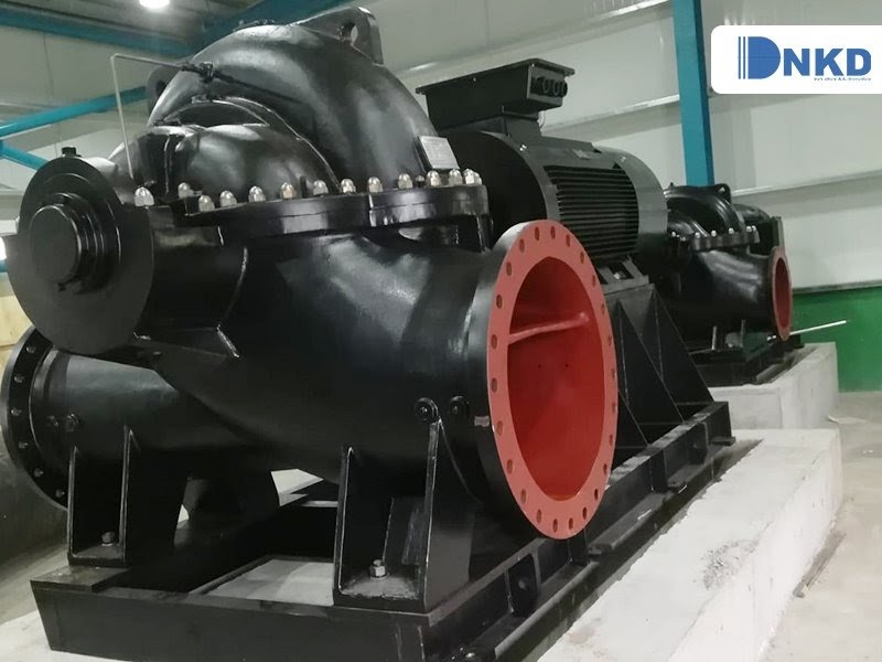Máy bơm trục ngang 2 cửa hút DSC: Máy bơm công nghiệp công suất lớn