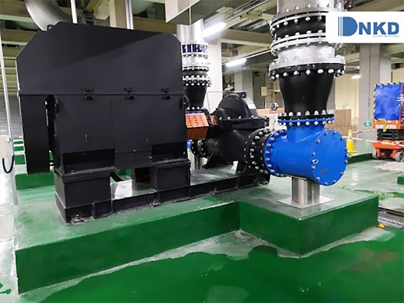 Máy bơm trục ngang 2 cửa hút DSC: Máy bơm công nghiệp công suất lớn