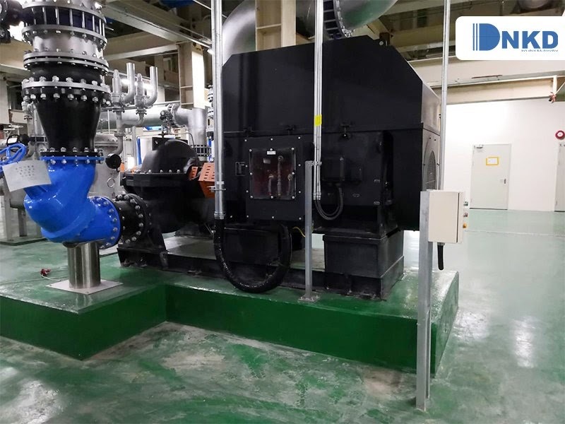 Máy bơm trục ngang 2 cửa hút DSC: Máy bơm công nghiệp công suất lớn