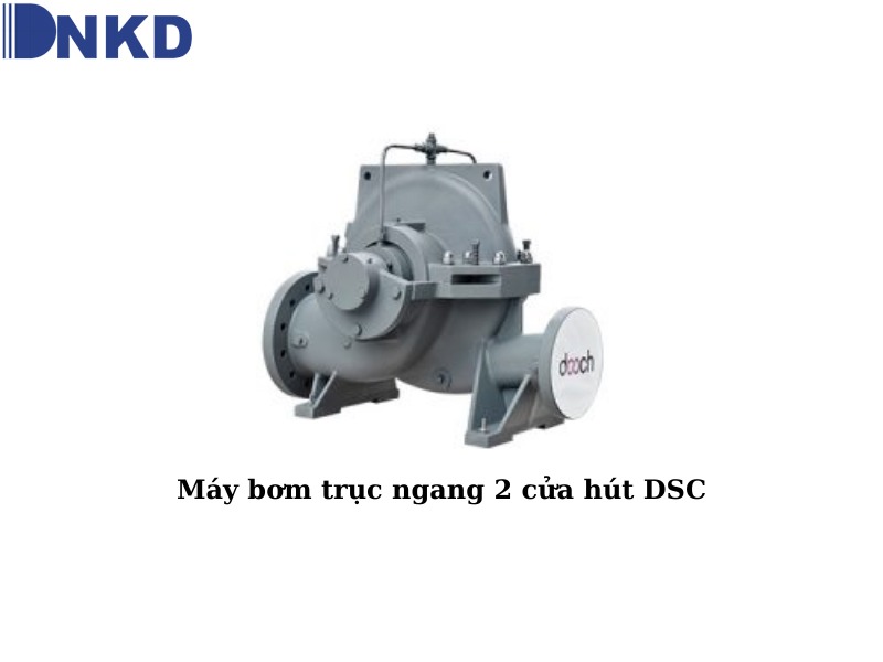 Máy bơm trục ngang 2 cửa hút DSC: Máy bơm công nghiệp công suất lớn